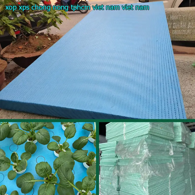 Xuất xứ xốp XPS chống nóng TpHCM Viet Nam: Viet Nam
