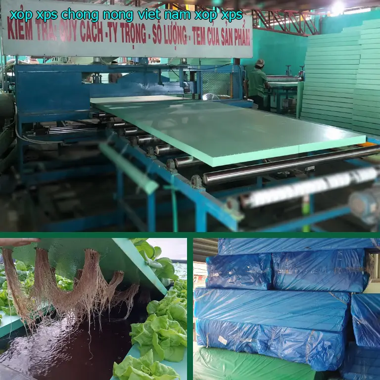 Danh mục xốp XPS chống nóng Việt Nam: Xốp XPS Danh mục xốp XPS chống nóng Việt Nam: Xốp XPS
