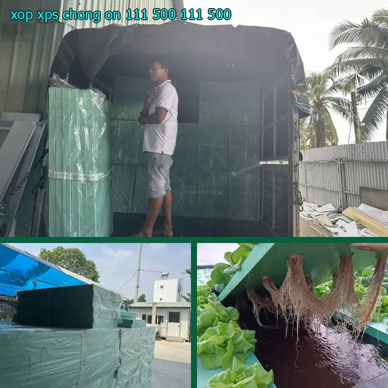 Giá xốp XPS chống ồn 111.500₫: 111.500₫ Giá xốp XPS chống ồn 111.500₫: 111.500₫