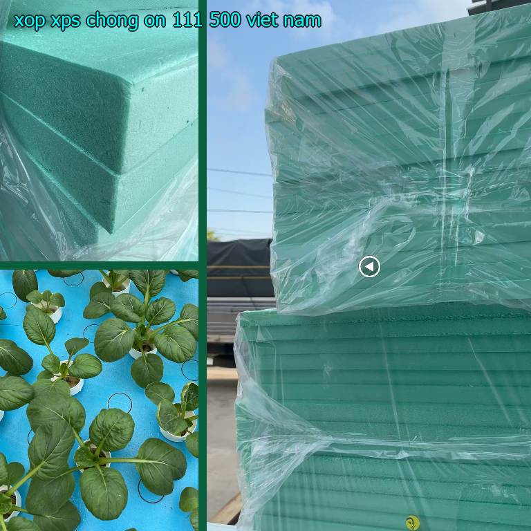Xuất xứ xốp XPS chống ồn 111.500₫: Việt Nam Xuất xứ xốp XPS chống ồn 111.500₫: Việt Nam