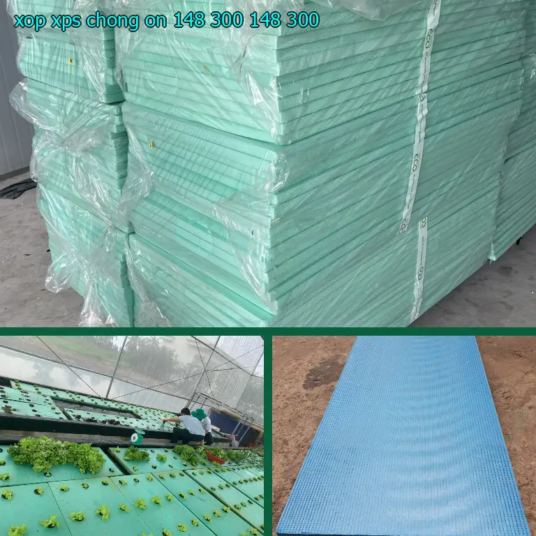 Giá xốp XPS chống ồn 148.300₫: 148.300₫ Giá xốp XPS chống ồn 148.300₫: 148.300₫