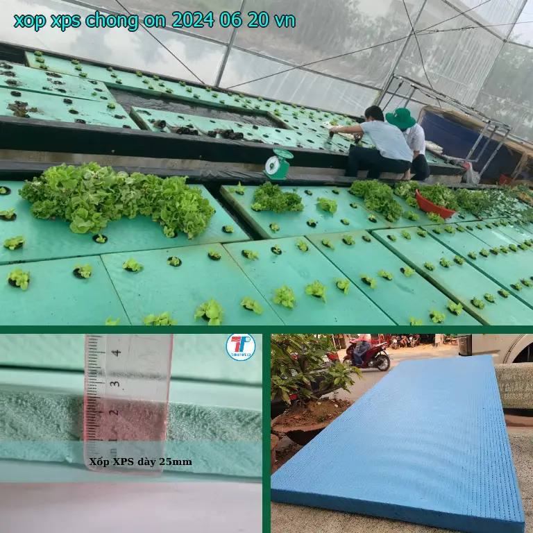 Xuất xứ xốp XPS chống ồn 2024-06-20: VN Xuất xứ xốp XPS chống ồn 2024-06-20: VN