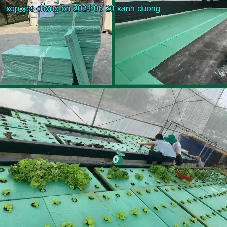 Màu sắc xốp XPS chống ồn 2024-06-20: Xanh dương Màu sắc xốp XPS chống ồn 2024-06-20: Xanh dương