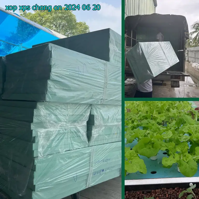 Xốp XPS chống ồn 2024-06-20