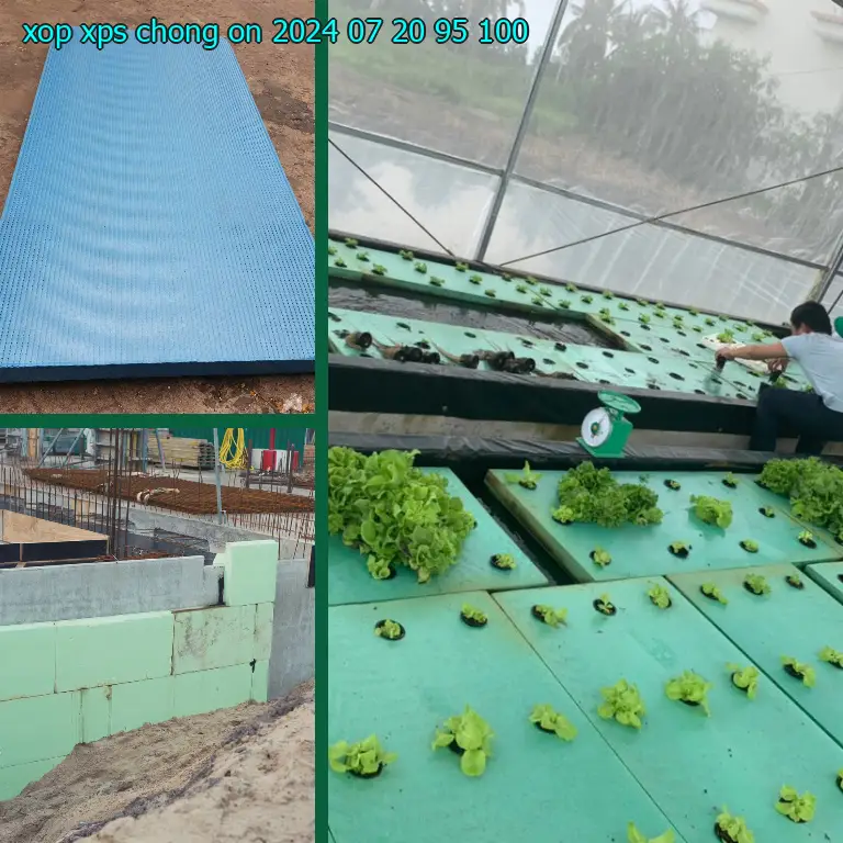 Đơn giá xốp XPS chống ồn 2024-07-20: 95.100₫