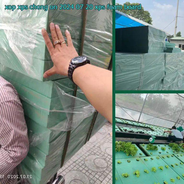 Danh mục xốp XPS chống ồn 2024-07-20: XPS Foam Board