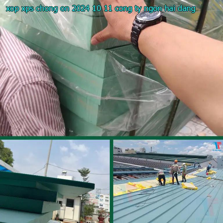 Nhà cung cấp xốp XPS chống ồn 2024-10-11: Công ty Ngọn Hải Đăng
