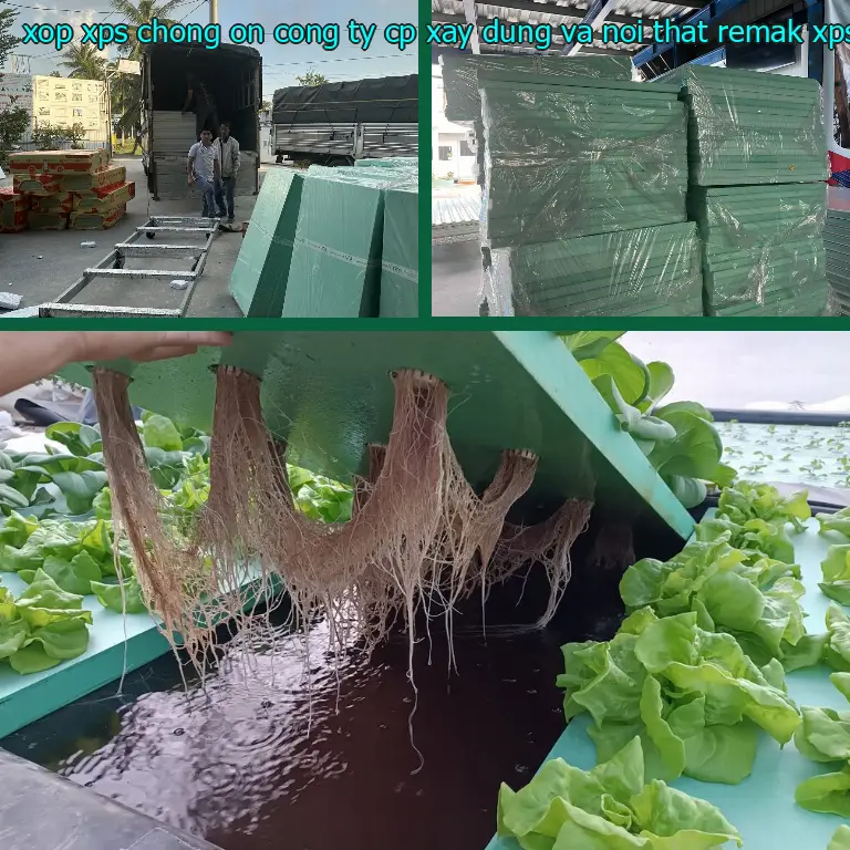 Chất liệu xốp XPS chống ồn Công ty CP xây dựng và nội thất Remak: XPS Chất liệu xốp XPS chống ồn Công ty CP xây dựng và nội thất Remak: XPS