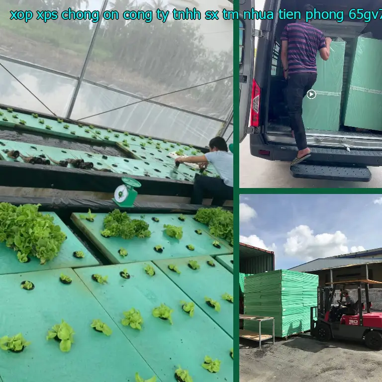 Model xốp XPS chống ồn Công ty TNHH SX TM nhựa Tiến Phong: 65GV7N Model xốp XPS chống ồn Công ty TNHH SX TM nhựa Tiến Phong: 65GV7N