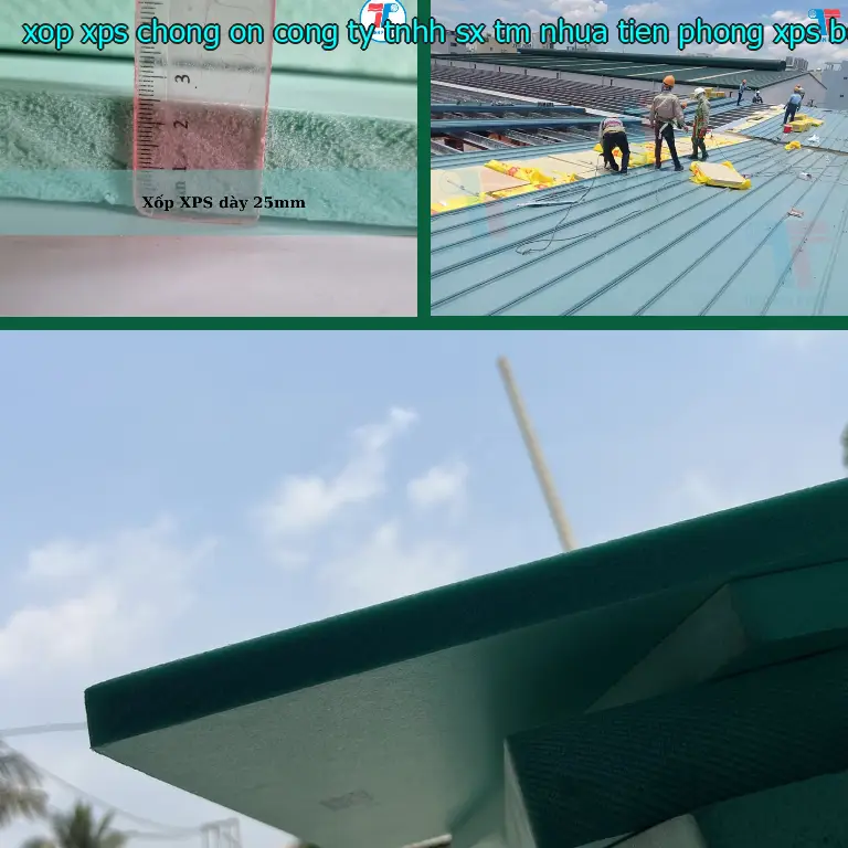 Danh mục xốp XPS chống ồn Công ty TNHH SX TM nhựa Tiến Phong: XPS Board Danh mục xốp XPS chống ồn Công ty TNHH SX TM nhựa Tiến Phong: XPS Board