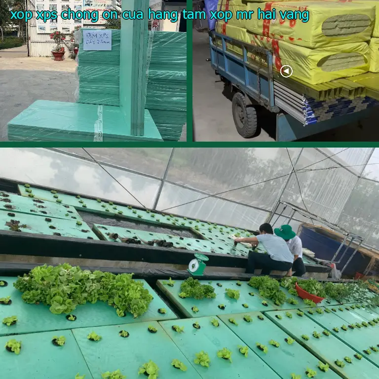 Màu sắc xốp XPS chống ồn Cửa hàng tấm xốp Mr.HẢI: Vàng