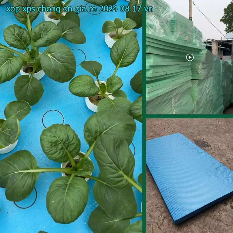 Xuất xứ xốp XPS chống ồn giá rẻ 2024-08-17: VN