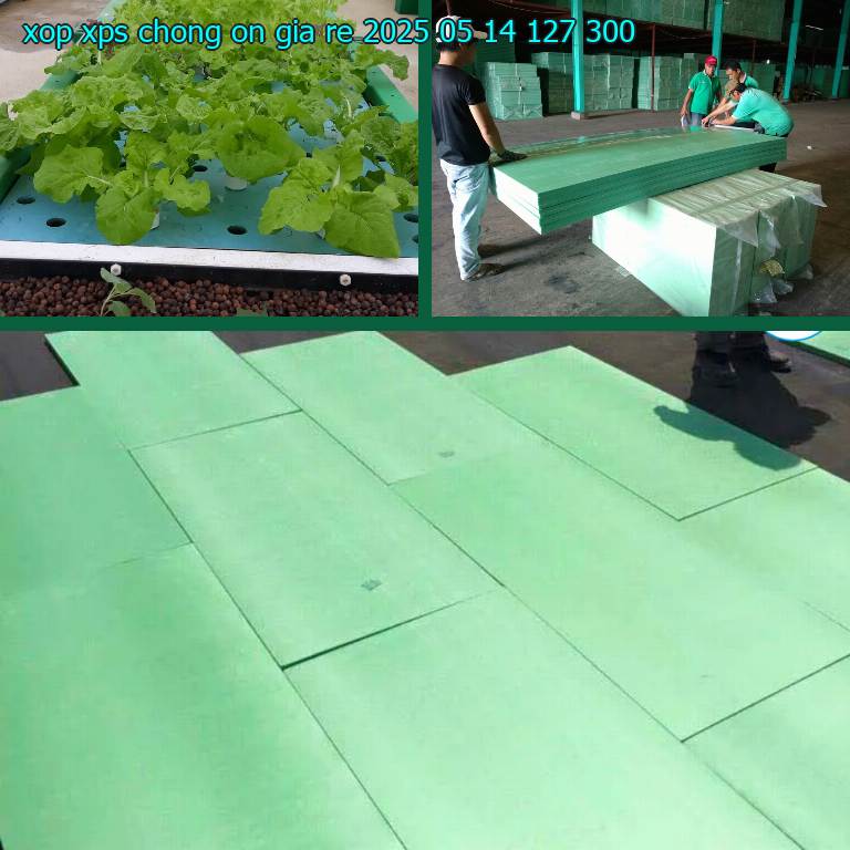 Đơn giá xốp XPS chống ồn giá rẻ 2025-05-14: 127.300₫ Đơn giá xốp XPS chống ồn giá rẻ 2025-05-14: 127.300₫