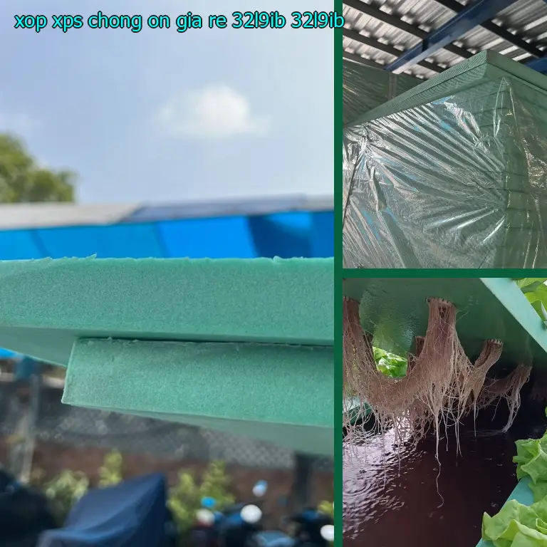 Model xốp XPS chống ồn giá rẻ 32L9IB: 32L9IB Model xốp XPS chống ồn giá rẻ 32L9IB: 32L9IB