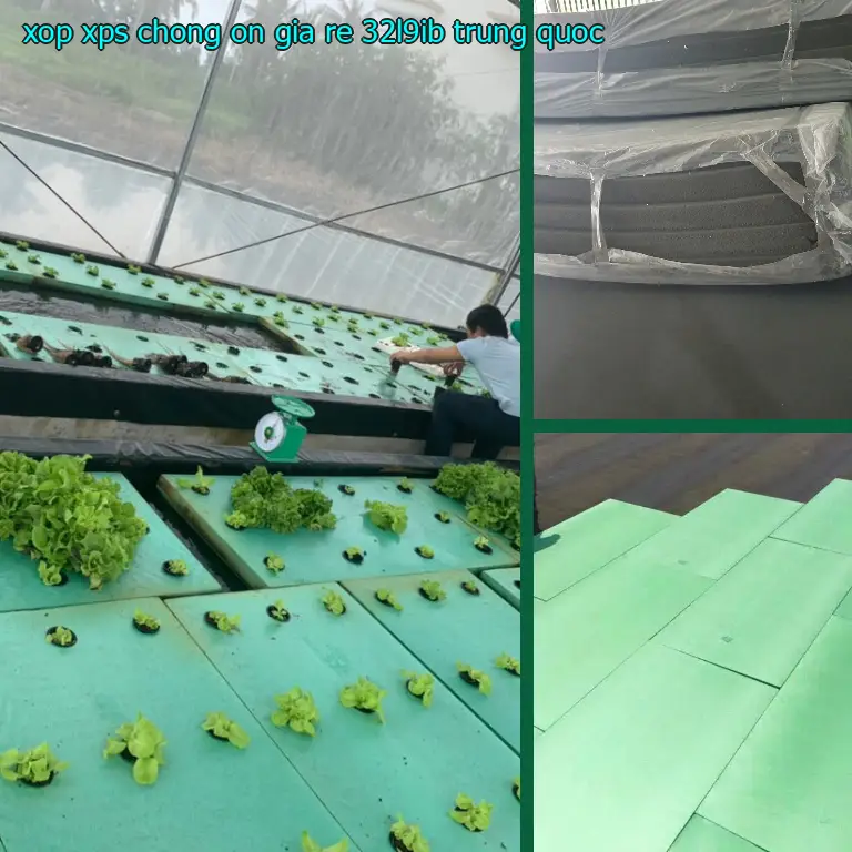 Xuất xứ xốp XPS chống ồn giá rẻ 32L9IB: Trung Quốc Xuất xứ xốp XPS chống ồn giá rẻ 32L9IB: Trung Quốc