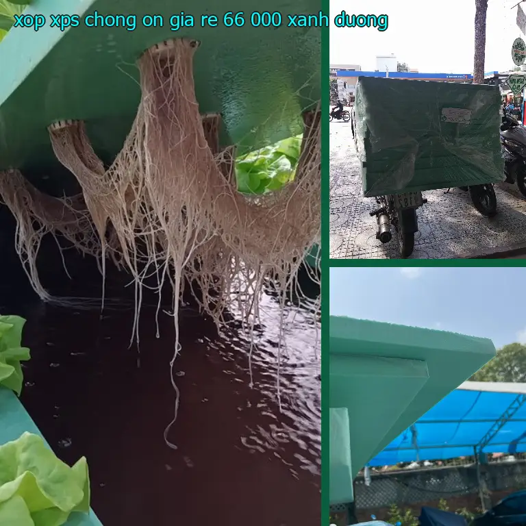 Màu sắc xốp XPS chống ồn giá rẻ 66.000₫: Xanh dương