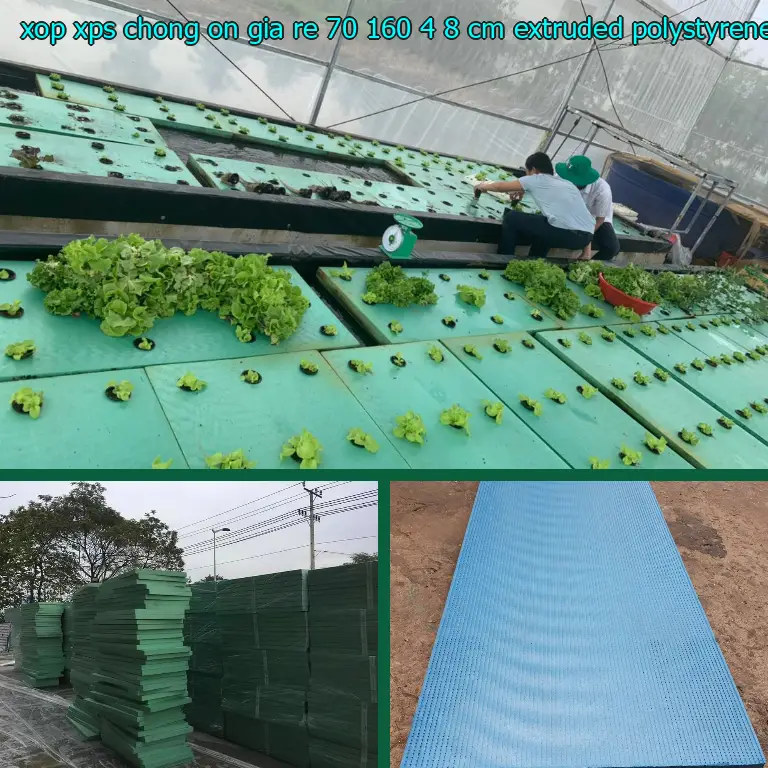 Chất liệu xốp XPS chống ồn giá rẻ 70*160*4.8 cm: Extruded Polystyrene Chất liệu xốp XPS chống ồn giá rẻ 70*160*4.8 cm: Extruded Polystyrene