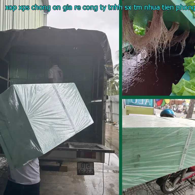 Nhà sản xuất xốp XPS chống ồn giá rẻ Công ty TNHH SX TM nhựa Tiến Phong: Công ty TNHH SX TM nhựa Tiến Phong Nhà sản xuất xốp XPS chống ồn giá rẻ Công ty TNHH SX TM nhựa Tiến Phong: Công ty TNHH SX TM nhựa Tiến Phong