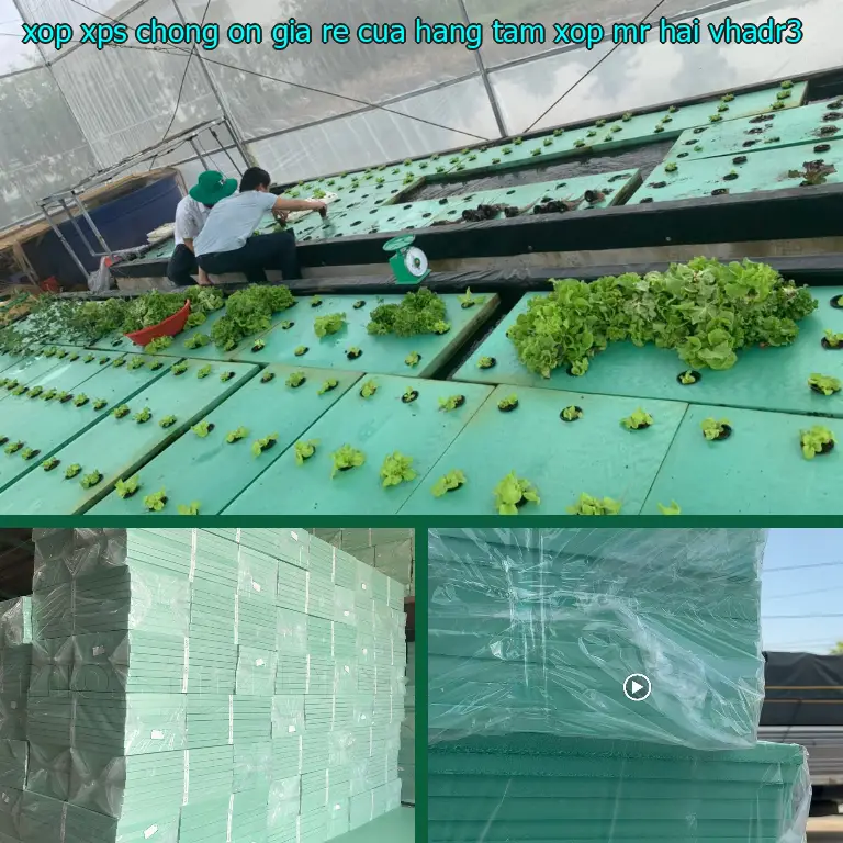 Model xốp XPS chống ồn giá rẻ Cửa hàng tấm xốp Mr.HẢI: VHADR3 Model xốp XPS chống ồn giá rẻ Cửa hàng tấm xốp Mr.HẢI: VHADR3
