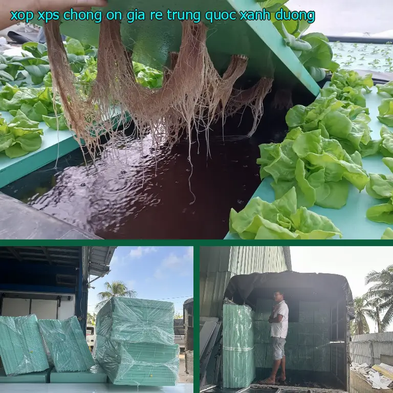 Màu sắc xốp XPS chống ồn giá rẻ Trung Quốc: Xanh dương