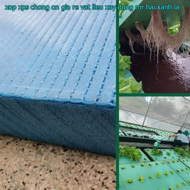 Màu sắc xốp XPS chống ồn giá rẻ Vật Liệu Xây Dựng Mr.HẢI: Xanh lá Màu sắc xốp XPS chống ồn giá rẻ Vật Liệu Xây Dựng Mr.HẢI: Xanh lá