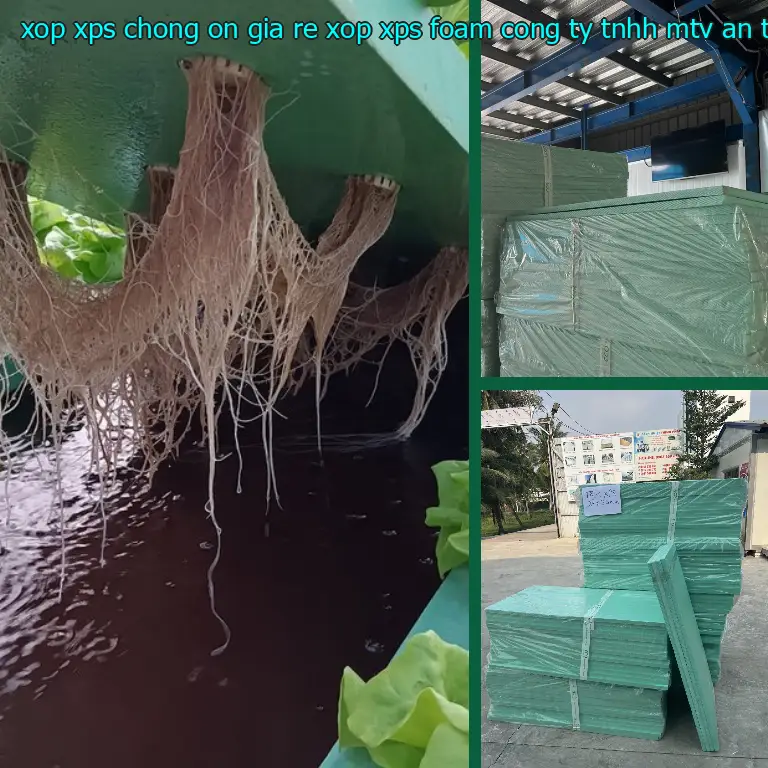 Nhà sản xuất xốp XPS chống ồn giá rẻ Xốp XPS Foam: Công ty TNHH MTV An Tiến Hưng Nhà sản xuất xốp XPS chống ồn giá rẻ Xốp XPS Foam: Công ty TNHH MTV An Tiến Hưng