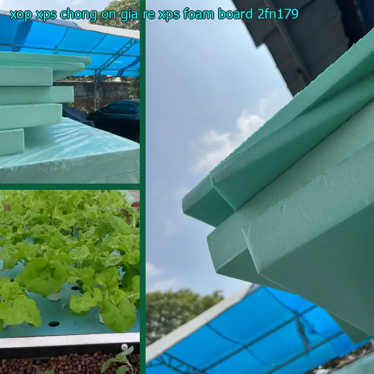 Model xốp XPS chống ồn giá rẻ XPS Foam Board: 2FN179