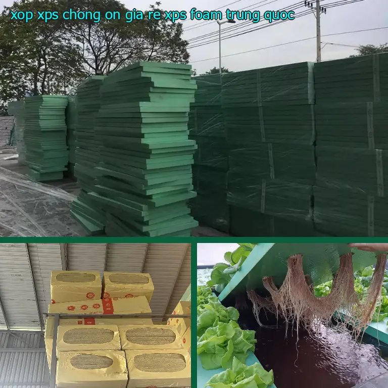 Xuất xứ xốp XPS chống ồn giá rẻ XPS Foam: Trung Quốc Xuất xứ xốp XPS chống ồn giá rẻ XPS Foam: Trung Quốc