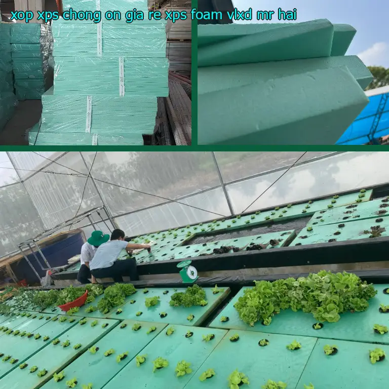Nhà cung cấp xốp XPS chống ồn giá rẻ XPS Foam: VLXD Mr.HẢI Nhà cung cấp xốp XPS chống ồn giá rẻ XPS Foam: VLXD Mr.HẢI