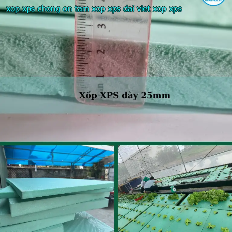 Danh mục xốp XPS chống ồn Tấm xốp XPS Đại Việt: Xốp XPS