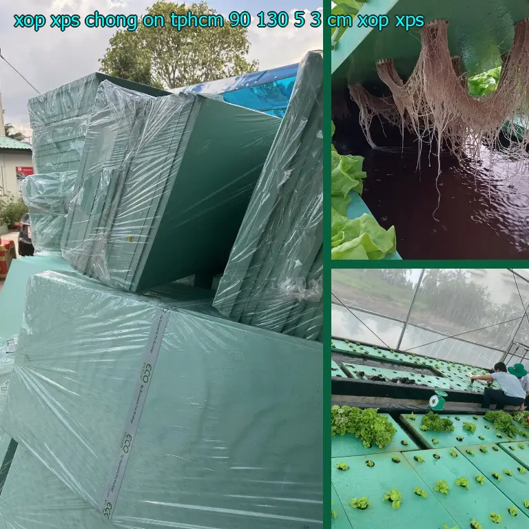 Danh mục xốp XPS chống ồn TpHCM 90*130*5.3 cm: Xốp XPS Danh mục xốp XPS chống ồn TpHCM 90*130*5.3 cm: Xốp XPS