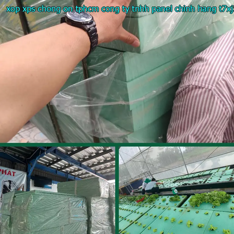Model xốp XPS chống ồn TpHCM Công ty TNHH Panel Chính Hãng: T7XJ5U Model xốp XPS chống ồn TpHCM Công ty TNHH Panel Chính Hãng: T7XJ5U