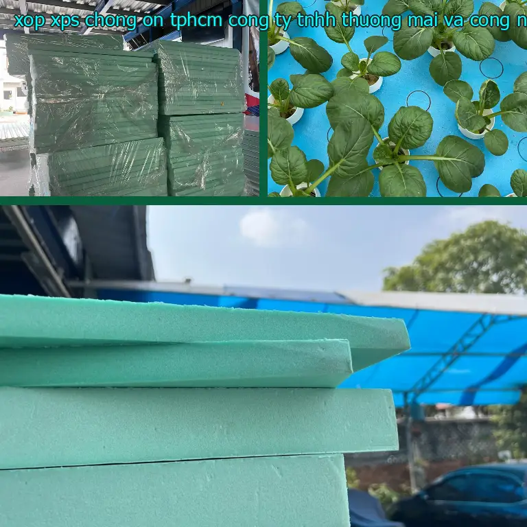 Nhà cung cấp xốp XPS chống ồn TpHCM Công ty TNHH thương mại và công nghiệp Tín Tâm: Vật Liệu Xây Dựng Mr.HẢI Nhà cung cấp xốp XPS chống ồn TpHCM Công ty TNHH thương mại và công nghiệp Tín Tâm: Vật Liệu Xây Dựng Mr.HẢI
