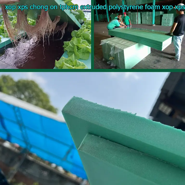 Danh mục xốp XPS chống ồn TpHCM Extruded Polystyrene Foam: Xốp XPS