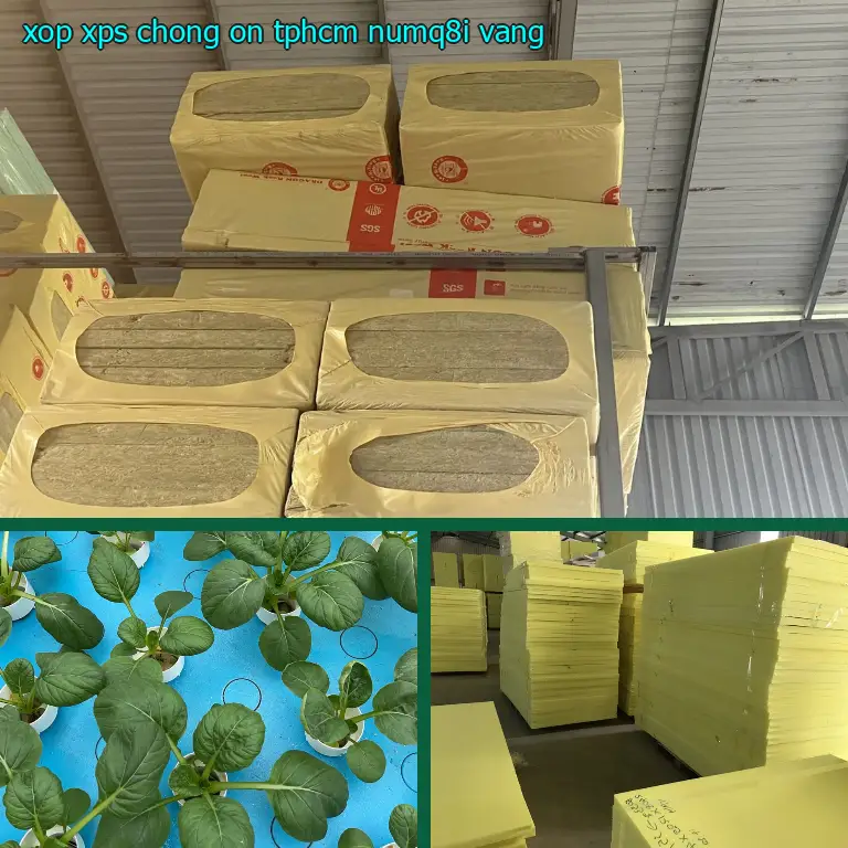 Màu sắc xốp XPS chống ồn TpHCM NUMQ8I: Vàng Màu sắc xốp XPS chống ồn TpHCM NUMQ8I: Vàng
