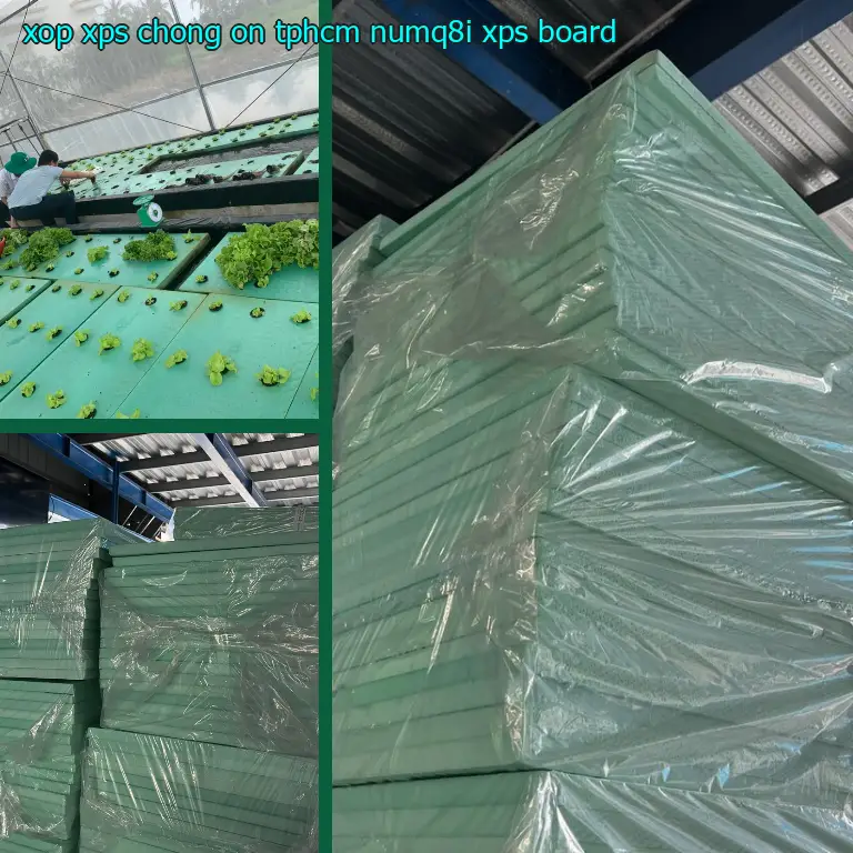 Danh mục xốp XPS chống ồn TpHCM NUMQ8I: XPS Board Danh mục xốp XPS chống ồn TpHCM NUMQ8I: XPS Board