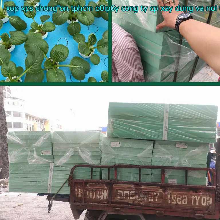 Nhà sản xuất xốp XPS chống ồn TpHCM O0IP6Y: Công ty CP xây dựng và nội thất Remak Nhà sản xuất xốp XPS chống ồn TpHCM O0IP6Y: Công ty CP xây dựng và nội thất Remak