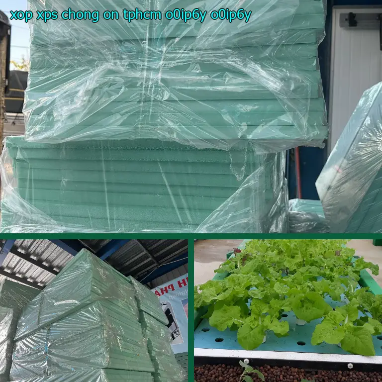 Model xốp XPS chống ồn TpHCM O0IP6Y: O0IP6Y Model xốp XPS chống ồn TpHCM O0IP6Y: O0IP6Y