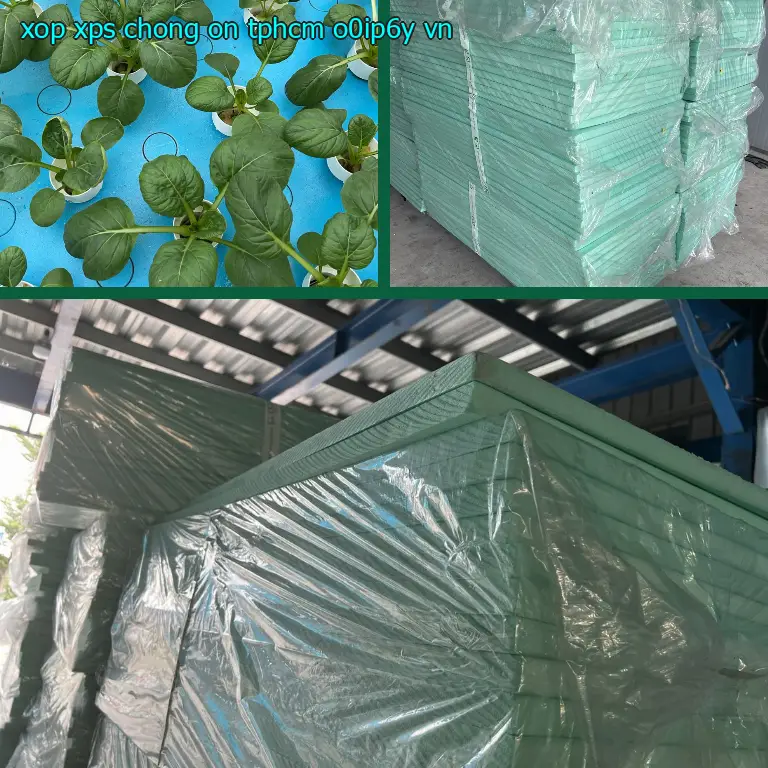 Xuất xứ xốp XPS chống ồn TpHCM O0IP6Y: VN Xuất xứ xốp XPS chống ồn TpHCM O0IP6Y: VN