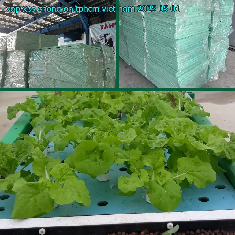 Ngày sản xuất xốp XPS chống ồn TpHCM Việt Nam: 2025-05-01