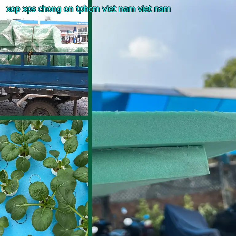 Xuất xứ xốp XPS chống ồn TpHCM Việt Nam: Việt Nam