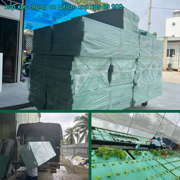 Đơn giá xốp XPS chống ồn TpHCM Xốp XPS: 69.900₫ Đơn giá xốp XPS chống ồn TpHCM Xốp XPS: 69.900₫