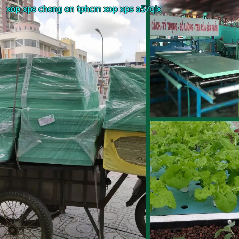 Model xốp XPS chống ồn TpHCM Xốp XPS: A57QLX Model xốp XPS chống ồn TpHCM Xốp XPS: A57QLX