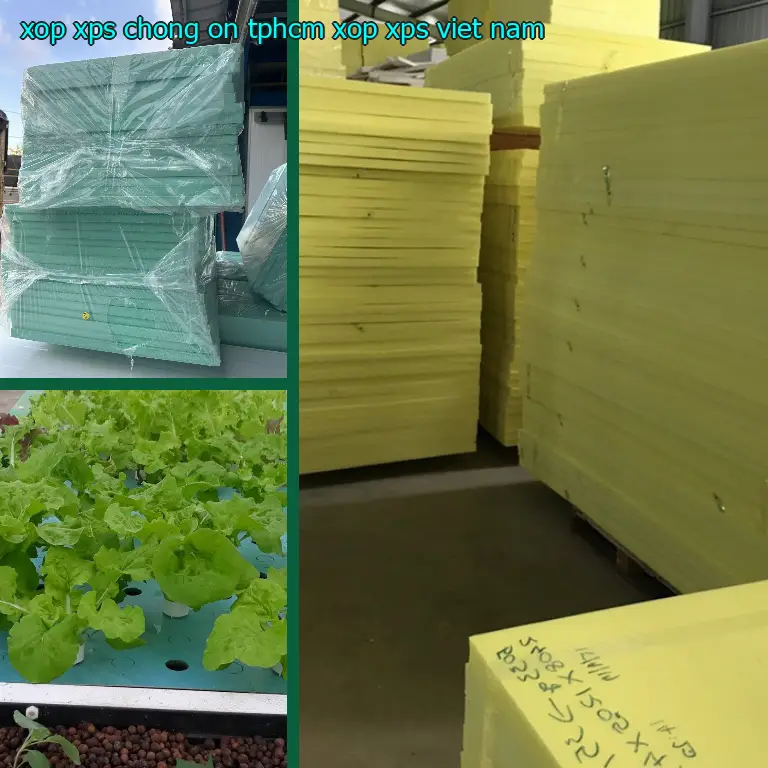 Xuất xứ xốp XPS chống ồn TpHCM Xốp XPS: Việt Nam Xuất xứ xốp XPS chống ồn TpHCM Xốp XPS: Việt Nam