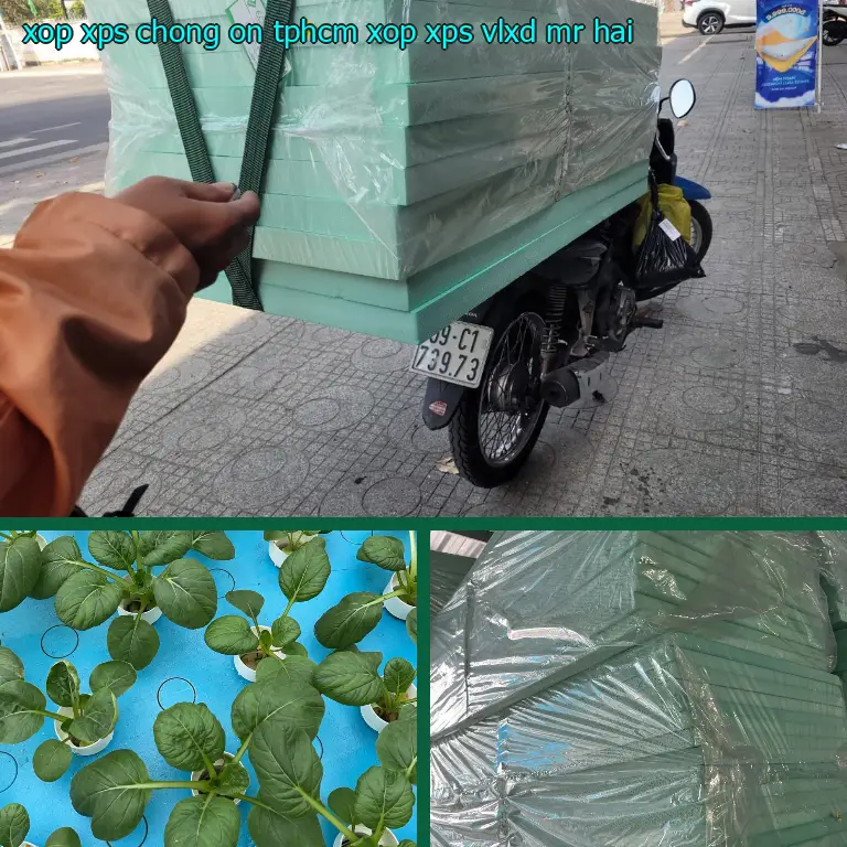 Nhà cung cấp xốp XPS chống ồn TpHCM Xốp XPS: VLXD Mr.HẢI Nhà cung cấp xốp XPS chống ồn TpHCM Xốp XPS: VLXD Mr.HẢI