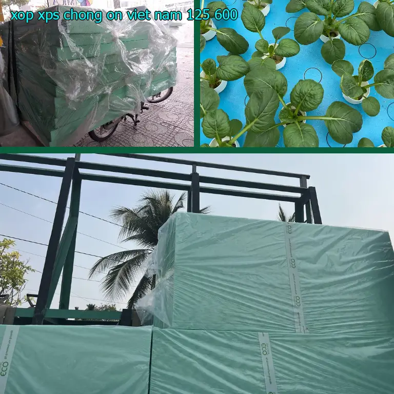 Đơn giá xốp XPS chống ồn Viet Nam: 125.600₫
