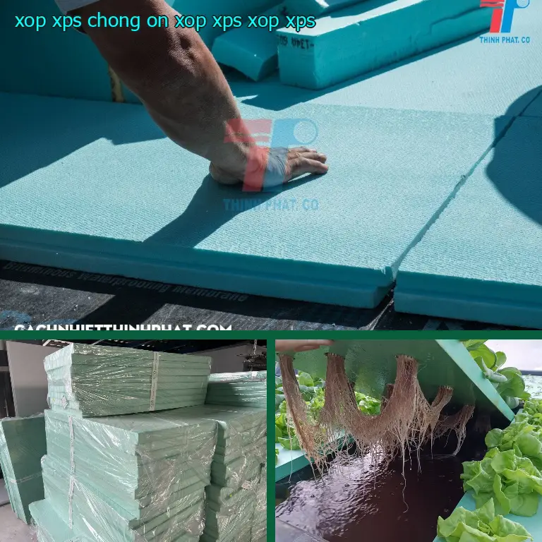 Danh mục xốp XPS chống ồn Xốp XPS: Xốp XPS Danh mục xốp XPS chống ồn Xốp XPS: Xốp XPS
