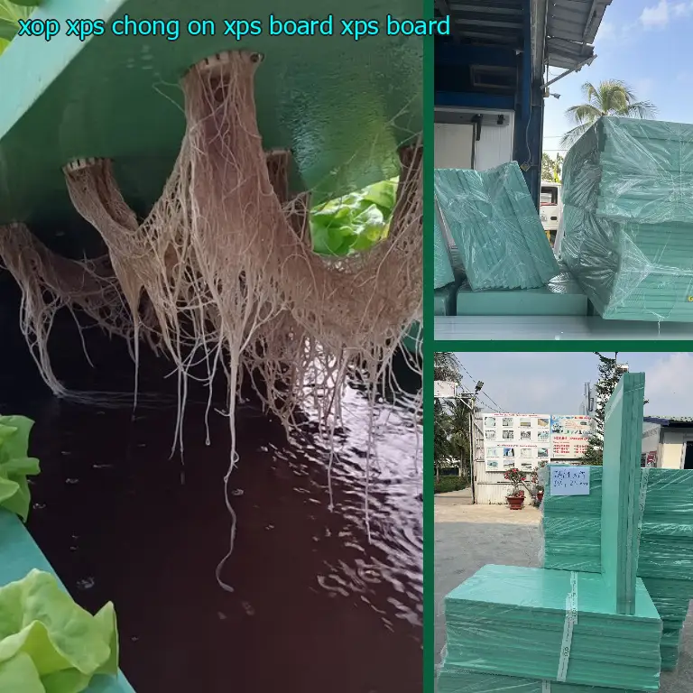 Danh mục xốp XPS chống ồn XPS Board: XPS Board Danh mục xốp XPS chống ồn XPS Board: XPS Board