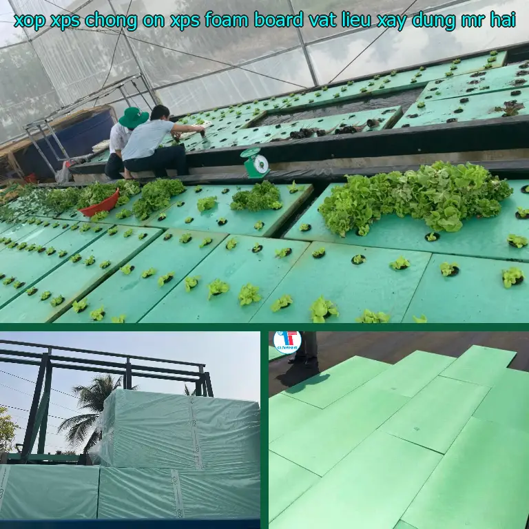 Nhà cung cấp xốp XPS chống ồn XPS Foam Board: Vật Liệu Xây Dựng Mr.HẢI Nhà cung cấp xốp XPS chống ồn XPS Foam Board: Vật Liệu Xây Dựng Mr.HẢI